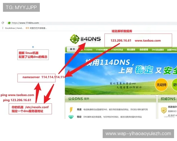 复兴壹号网页版：全面介绍与使用指南，助你轻松掌握操作技巧